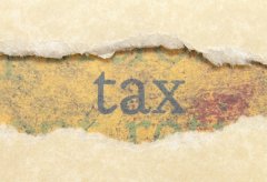 塞舌爾離岸公司0報稅政策是真的嗎？