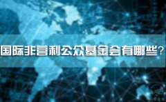 國(guó)際非營(yíng)利公眾基金會(huì)有哪些？