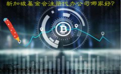 新加坡基金會注冊代辦公司哪家好？