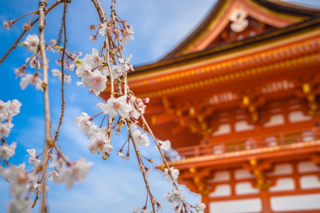 盤(pán)點(diǎn)日本常見(jiàn)的公司注冊(cè)類型都有哪些
