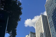 開曼公司年審全攻略：流程詳解、資料清單