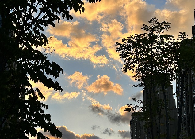 老撾公司注冊(cè)地址要求解析:虛擬地址的合規(guī)性說(shuō)明