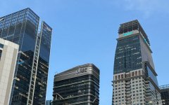 新加坡公司董事和股東可以是同一個人嗎?答案與合規(guī)指南