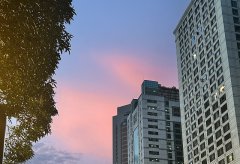 注冊韓國公司后，長期維護必做這幾件事